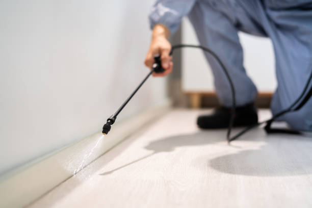 Licensed Termite Control service in Tolono, IL - Nex Pest Control