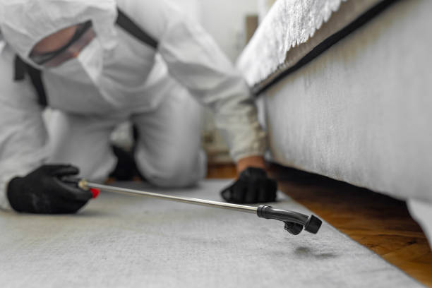 Professional Termite Control technician working in Tolono, IL