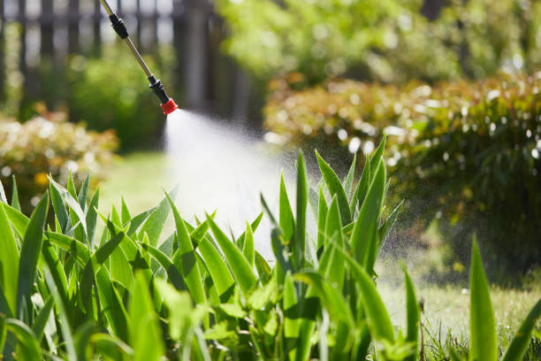 24/7 Emergency Termite Control experts in Tolono, IL